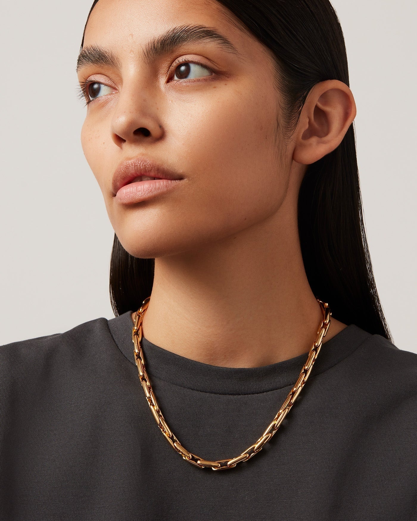 Alber chain