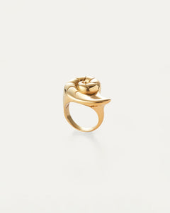 Dylan ring